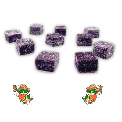 Shroomy's Bulk - 250 Pieces - Best Damn Gummy's - Wholesale