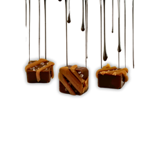 Load image into Gallery viewer, 9mg Delta 9 Chocolates - Bulk - MOQ 250 pieces - Best Damn Gummy&#39;s - Wholesale
