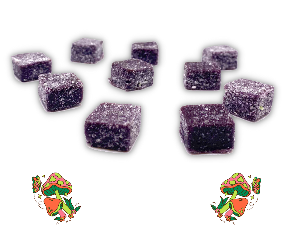 The Shroomy - Nootropic Gummy (Packaged) - 25 Packages per order - Best Damn Gummy's - Wholesale