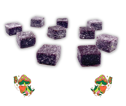 The Shroomy - Nootropic Gummy (Packaged) - 25 Packages per order - Best Damn Gummy's - Wholesale